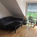 Rent 1 bedroom apartment of 35 m² in Münster