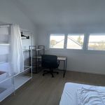 Rent 1 bedroom apartment in Angers