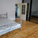 Rent 1 bedroom apartment of 50 m² in Szczecin