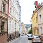 Rent 1 bedroom apartment of 20 m² in Karlovy Vary