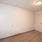 Rent 2 bedroom house in Hulshout