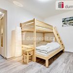 Rent 3 bedroom apartment of 74 m² in Jáchymov