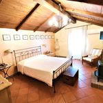 Affitto 5 camera appartamento di 100 m² in Tuscania