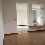 Rent 3 bedroom house of 130 m² in Rovigo