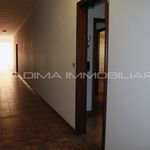 Rent 1 bedroom apartment of 65 m² in Boccea