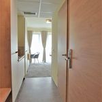 Rent 1 bedroom apartment of 24 m² in Rosbach vor der Höhe