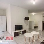 Rent 1 bedroom apartment of 33 m² in Perpignan