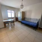 Rent 1 bedroom apartment of 30 m² in Cinisello Balsamo