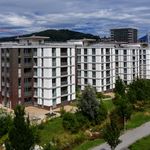 Rent 4 bedroom apartment of 90 m² in Hergiswil
