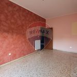Rent 5 bedroom apartment of 115 m² in Favara