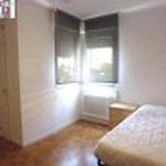 Alquilo 4 dormitorio apartamento de 105 m² en Pamplona
