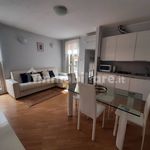 Rent 1 bedroom apartment of 60 m² in Novara
