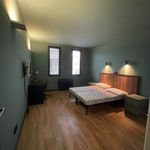 Rent 1 bedroom apartment of 500 m² in Venezia