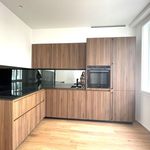 Rent 3 bedroom apartment of 123 m² in Wien
