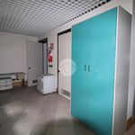 Affitto 1 camera appartamento di 350 m² in Mantova