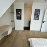 Kamer van 135 m² in Ixelles