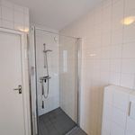 Rent 4 bedroom house of 96 m² in Spijkenisse