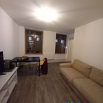 Rent 2 bedroom apartment of 41 m² in Colmar