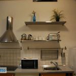 Rent 2 bedroom apartment of 35 m² in Bologna