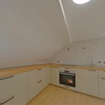 Rent 1 bedroom apartment of 33 m² in Schiltigheim