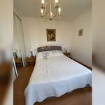 Rent 1 bedroom apartment in Oletta