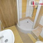 Rent 1 bedroom apartment of 37 m² in Sokolov