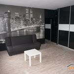 Wynajmij 1 sypialnię dom z 37 m² w Katowice