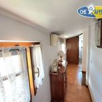 Rent 4 bedroom house of 75 m² in Pietrasanta
