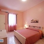 Rent 3 bedroom apartment of 65 m² in Trapani