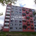 Rent 2 bedroom apartment of 46 m² in Boží Dar
