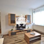 Rent 2 bedroom apartment of 45 m² in Debrecen