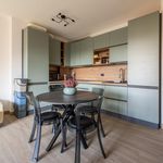 Rent 2 bedroom apartment of 60 m² in Peschiera Borromeo
