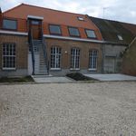 Rent 1 bedroom apartment of 99 m² in Willems