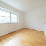 Rent 4 bedroom apartment of 93 m² in Hofstetten-Grünau