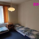 Rent 3 bedroom apartment of 60 m² in Písek