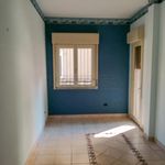 Affitto 3 camera appartamento di 140 m² in Messina