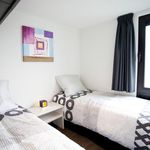 Rent 3 bedroom house in Belfeld
