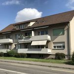 Rent 1 bedroom apartment of 17 m² in Allschwil