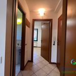 Rent 2 bedroom apartment of 40 m² in Campogalliano