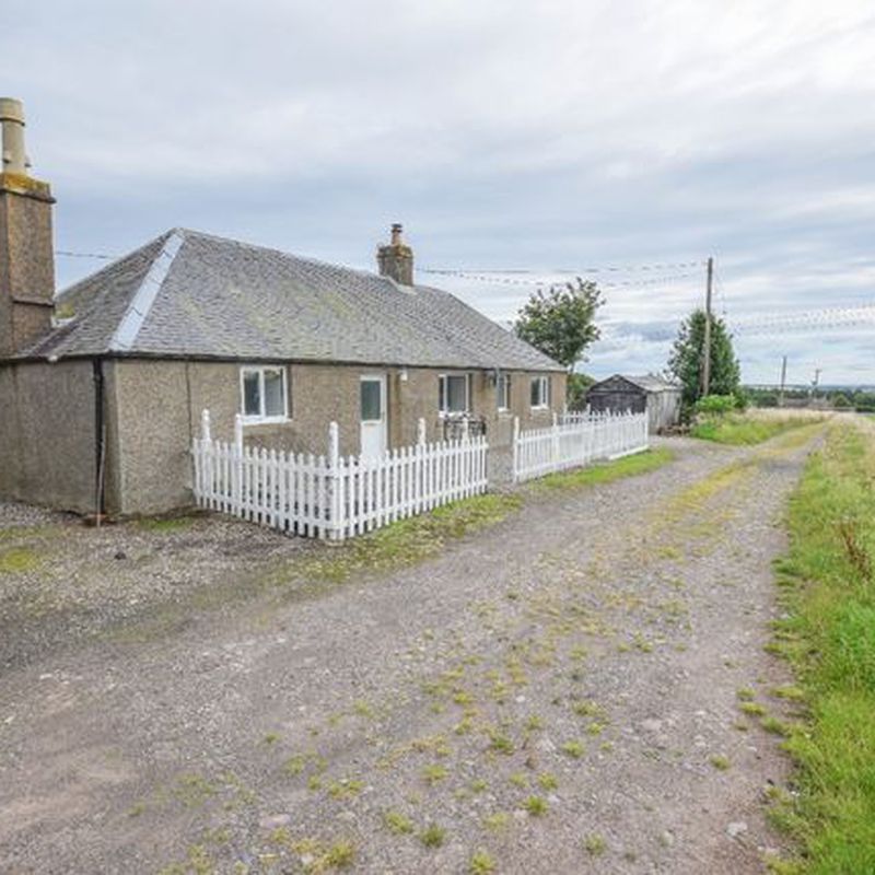 Cottage to rent in Hillhead Of Burghill, Brechin, Angus DD9