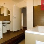 Rent 2 bedroom apartment of 53 m² in Opava