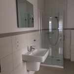 Rent 1 bedroom apartment of 33 m² in Nieder-Olm