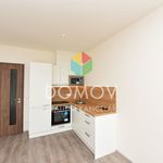 Rent 1 bedroom apartment of 35 m² in Beroun