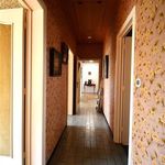 Rent 3 bedroom house of 2592 m² in Gooik