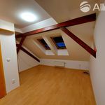 Rent 5 bedroom apartment of 167 m² in Brno