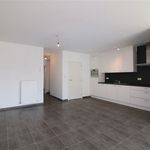Rent 2 bedroom apartment of 80 m² in Scherpenheuvel-Zichem