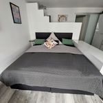 Rent 1 bedroom apartment of 43 m² in Baden-Baden