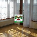 Rent 1 bedroom apartment of 220 m² in Budapest