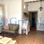 Rent 3 bedroom apartment of 65 m² in Assisi