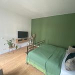 Miete 1 Schlafzimmer wohnung von 35 m² in Leipzig